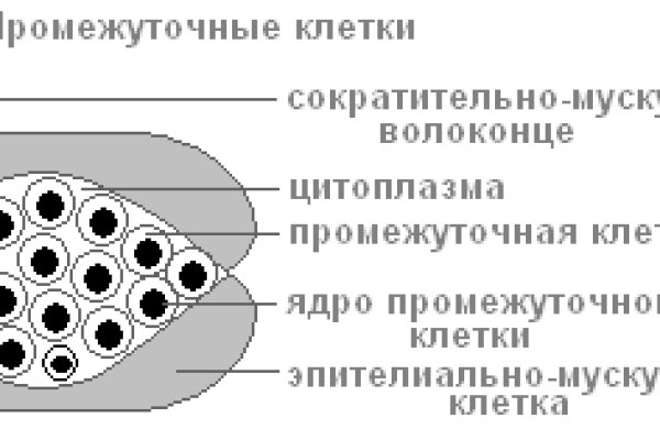 Сайт кракена в торе