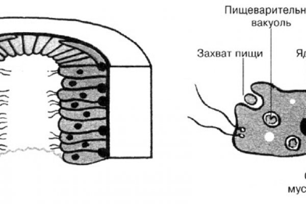 Кракен 15 ссылка