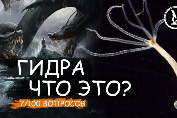Кракен лег