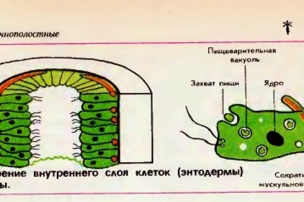 Кракен сайт магазин kraken clear com