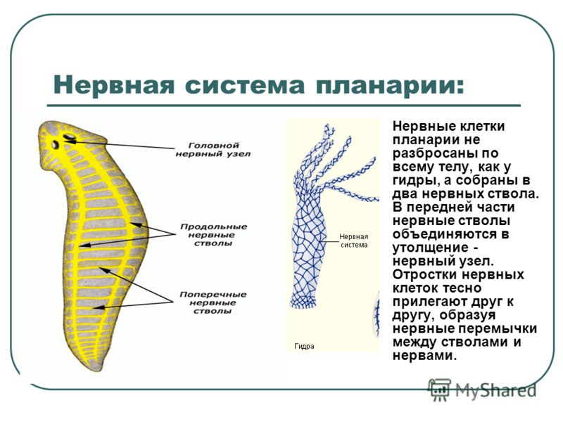 Открыть даркнет