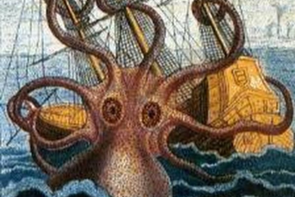 Kraken 5 at