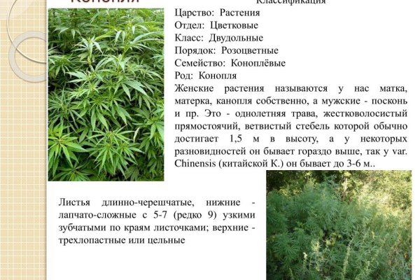 Кракен мефедрон