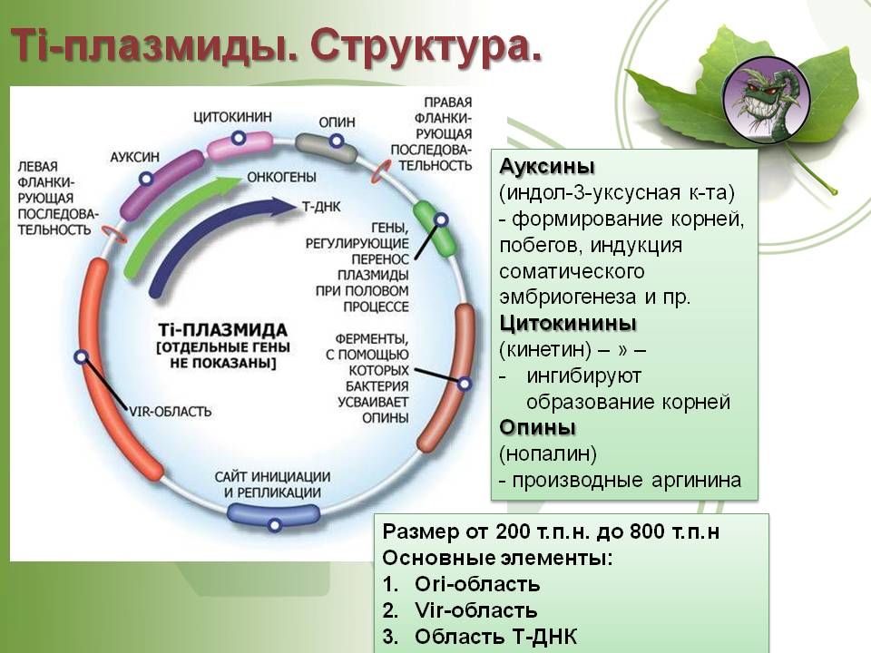 Кракен зеркало сайта