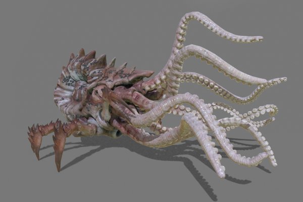 Сайт kraken в tor
