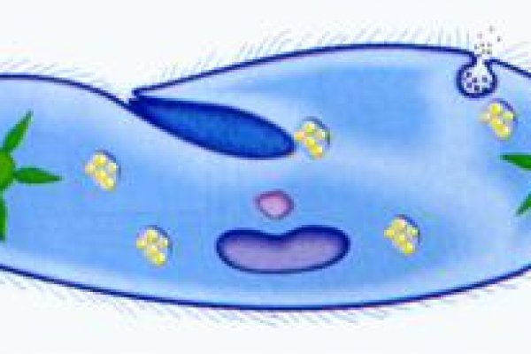 Kra40at