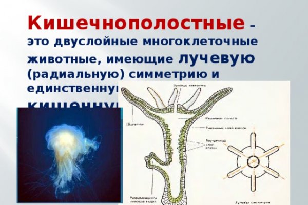 Как зайти на кракен через айфон