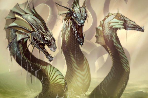 Www kraken 20at net