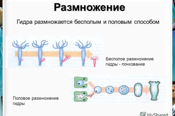Что такое кракен маркет