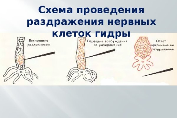 Kraken market ссылка