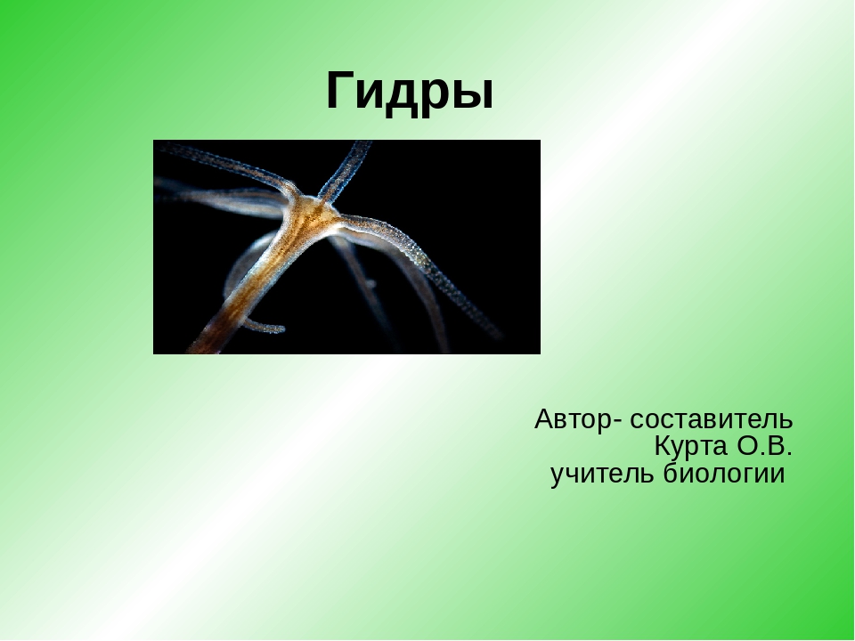 Кракен сайт 1kraken me